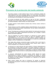 Principios de la protección del medio ambiente